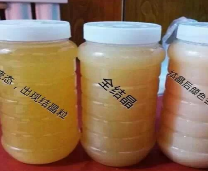 如何辨别“蜂蜜”是真是假？养蜂人教你3招，再也不怕买到假蜂蜜(图3)