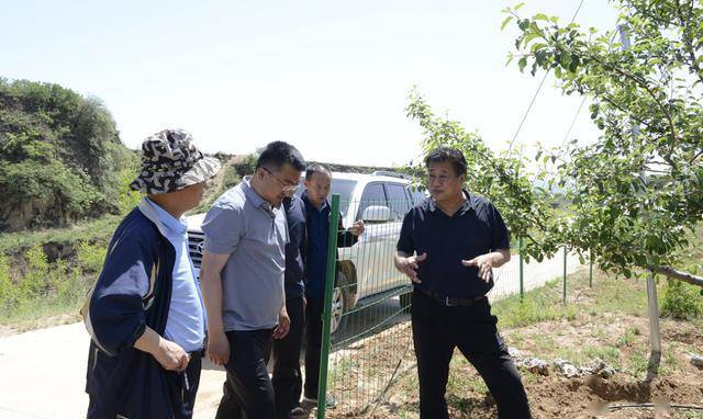 山西永和:范洋平调研沿黄旅游公路绿化和黄河一号旅游公路文化驿站