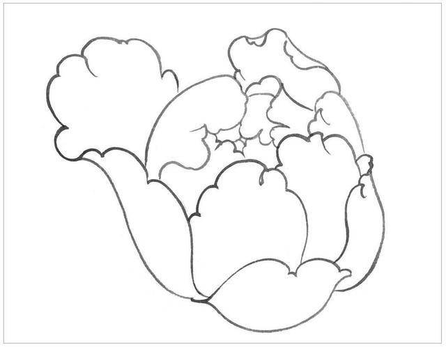 牡丹白描怎么画?分步骤图解示范教你画,收藏起来临摹学习_花瓣