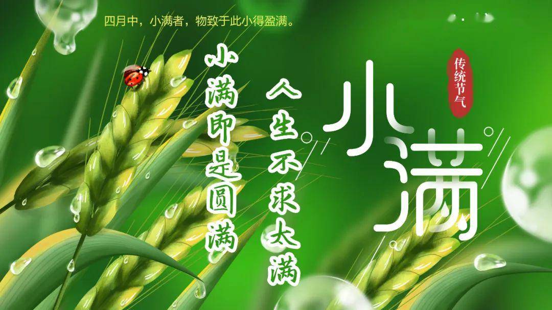 中百超市·小满节气|人生不求太满,小满即是圆满!