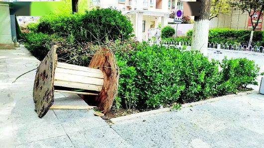 天水街头绿化带遭破坏,到底谁在跟它"过不去"?
