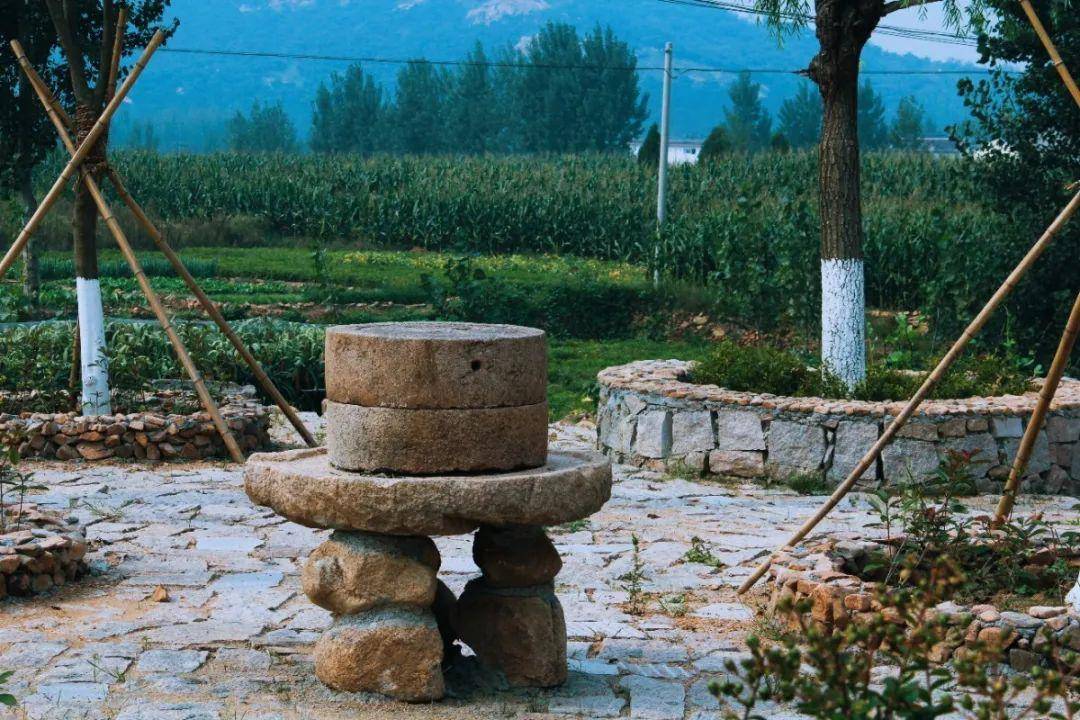 悦享莒南|望得见山,看得见水,记得住乡愁-亓山村