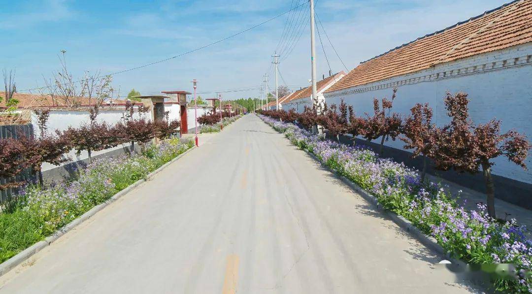 大王镇"讲文明讲卫生,改陋习树新风" 百日攻坚在行动