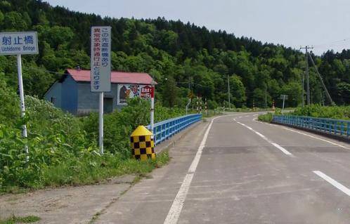 世界上最恶劣的棕熊吃人事件,巨型食人熊袭村,只吃女人和孩子