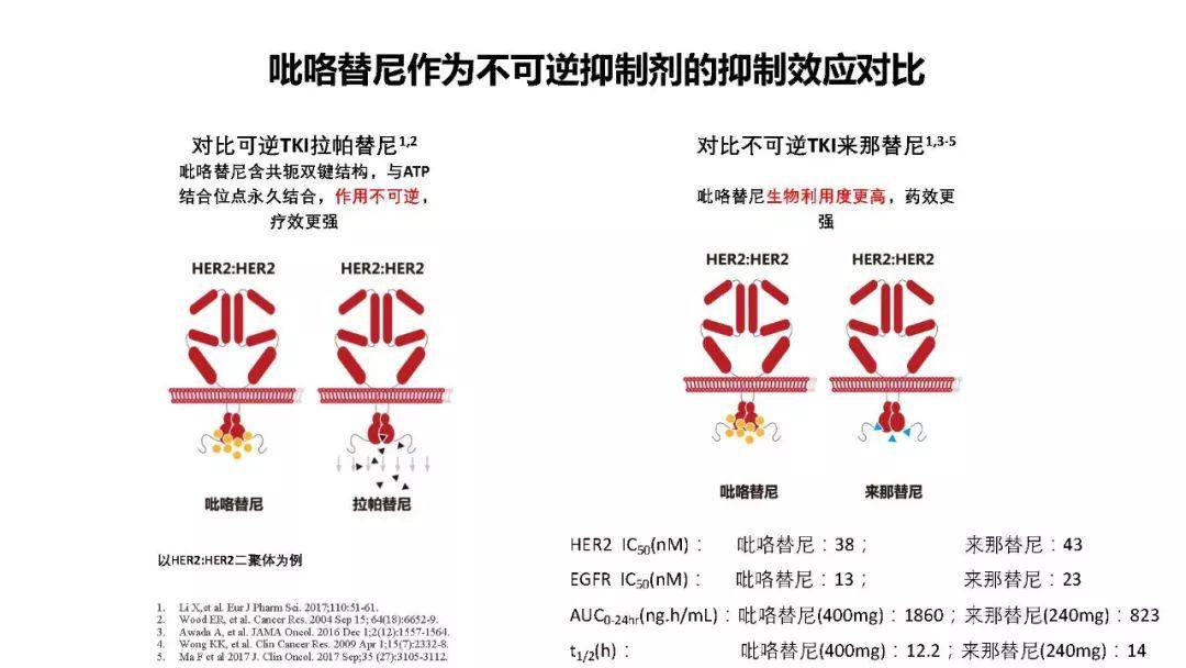 吡咯替尼研究结果及临床思考