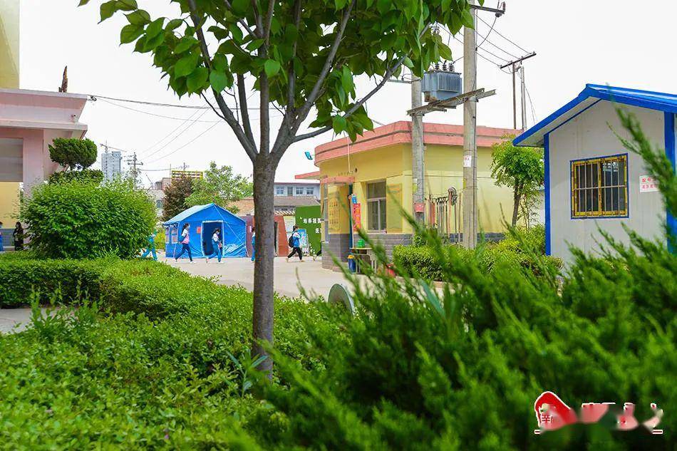 始建于1956年的杨场小学这次火遍甘谷人的朋友圈