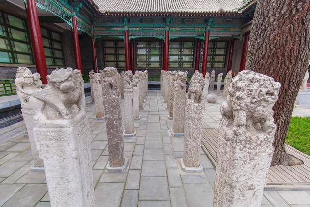 文物分别是: 大夏石马,景云钟,石台孝经,开成石经,大秦景教流行中国碑