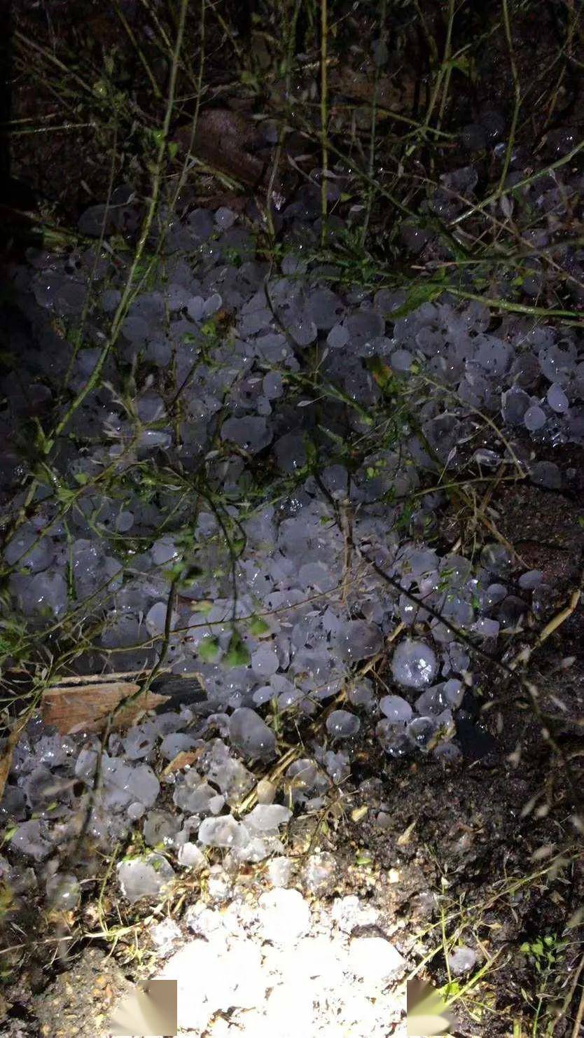 注意妖风大雨冰雹齐袭寿光赶紧做好防护