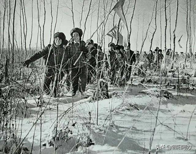 1975年老照片黑龙江下乡知识青年生产生活掠影