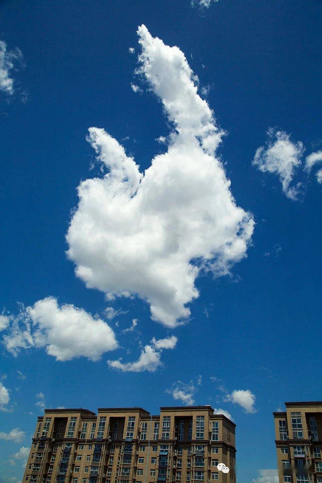 颐指气使,普大喜奔,蓝得大快人心!