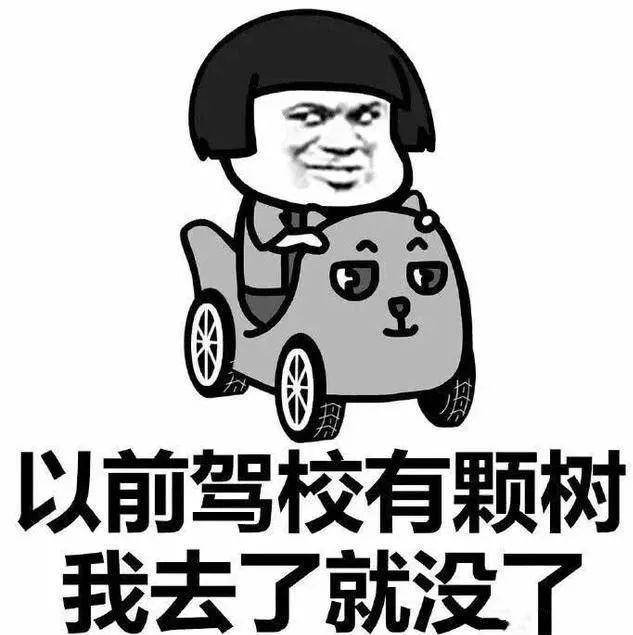 你想學車不我不想