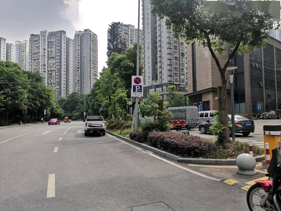 沿河西路(双星大道至凝山路(双向顺停(雪松路路口至广场支路单侧