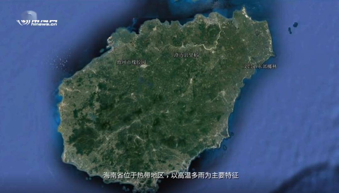 神奇足不出户就能监测卫星遥感技术让海南农产业更智慧