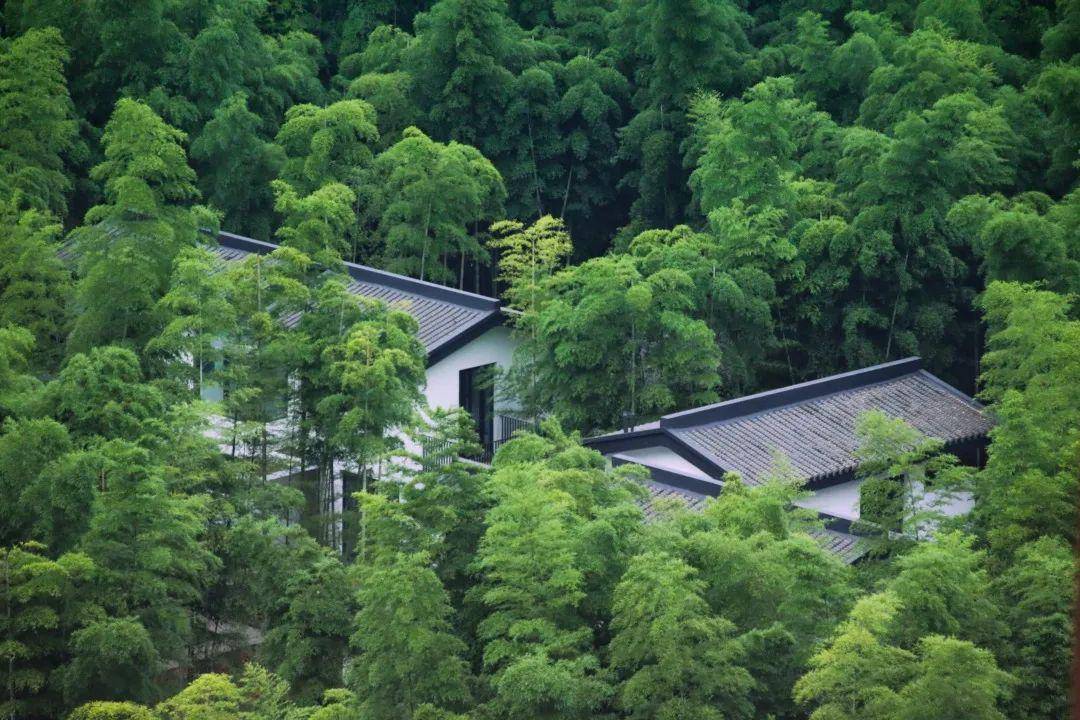 在山野竹林之间修身养性,也是国学的传统文化之一了.