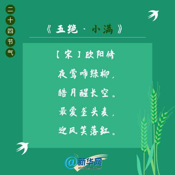 小满遇见最美初夏