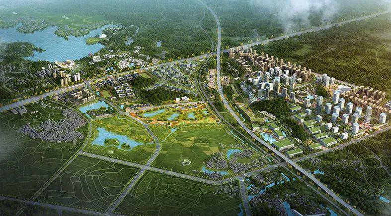 刷屏朋友圈佛山仙湖氢谷全面发力丹灶产业发展迎来高歌猛进