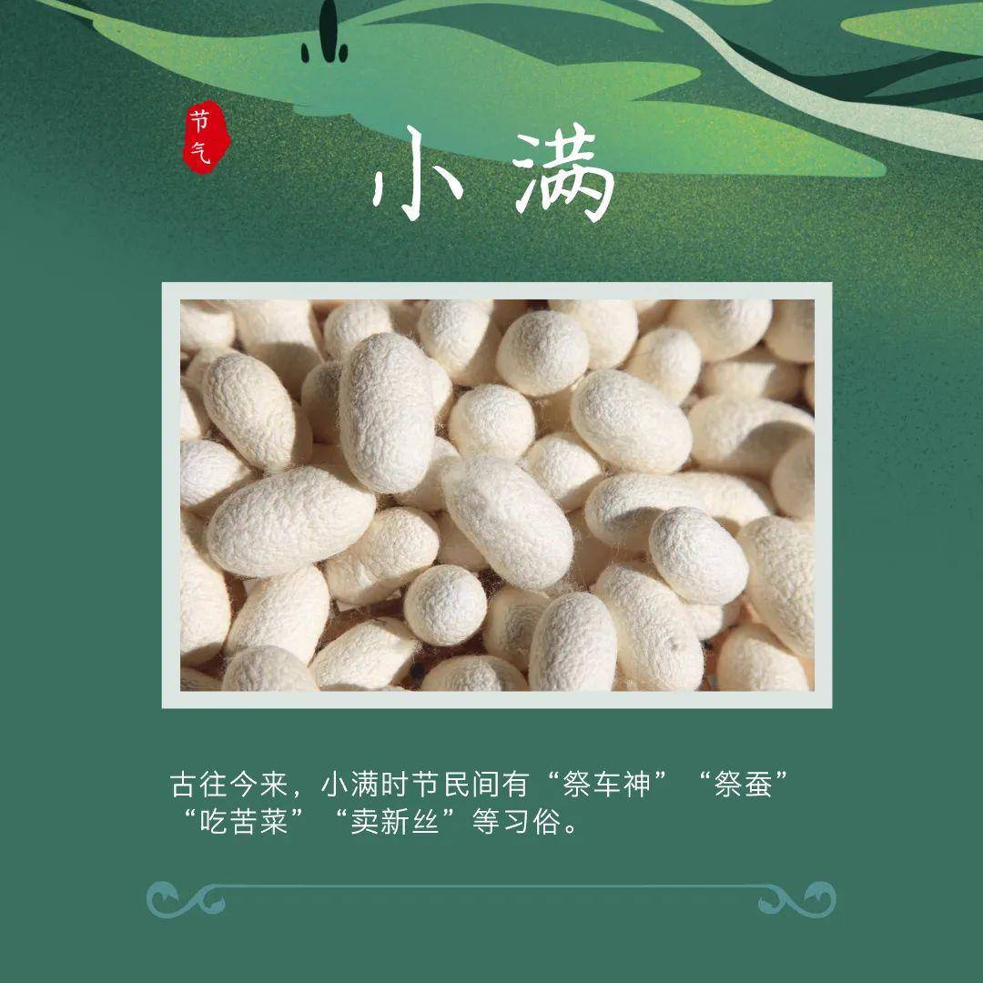 今日小满小得盈满自在欢喜