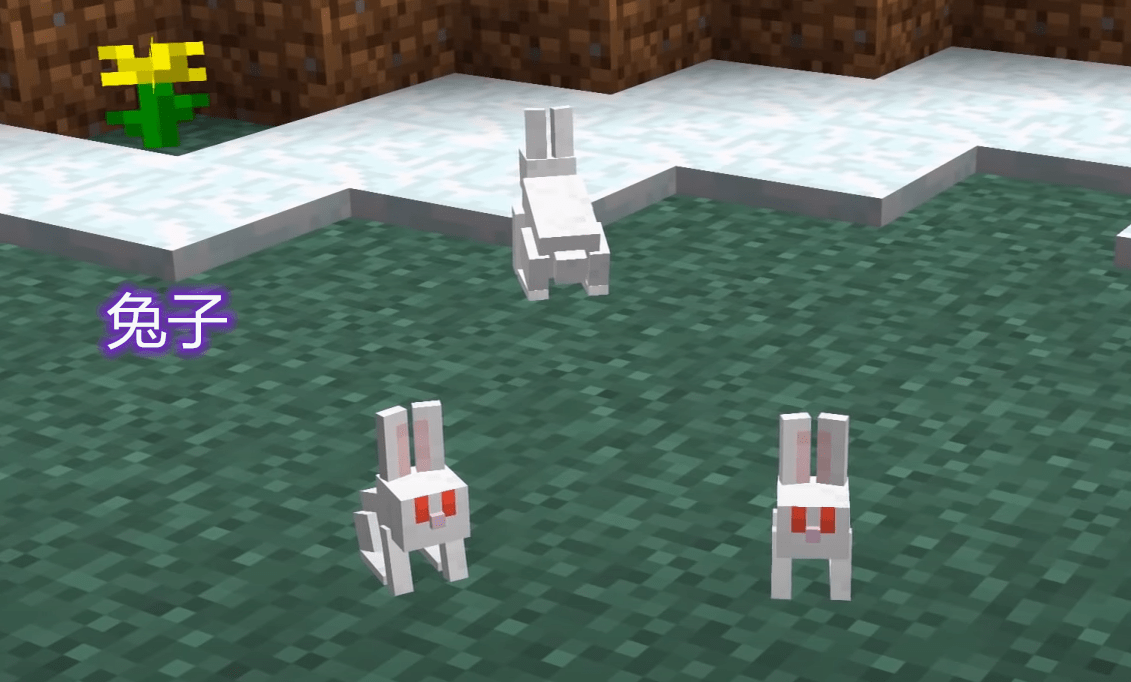 我的世界:兔子的颜色跟生物群落有关?冰原是白色,生物群是金色