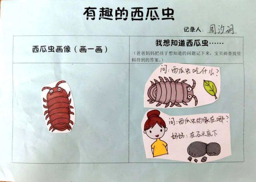 【南通教育·学校】通州实幼:专题课程引领儿童发展_西瓜