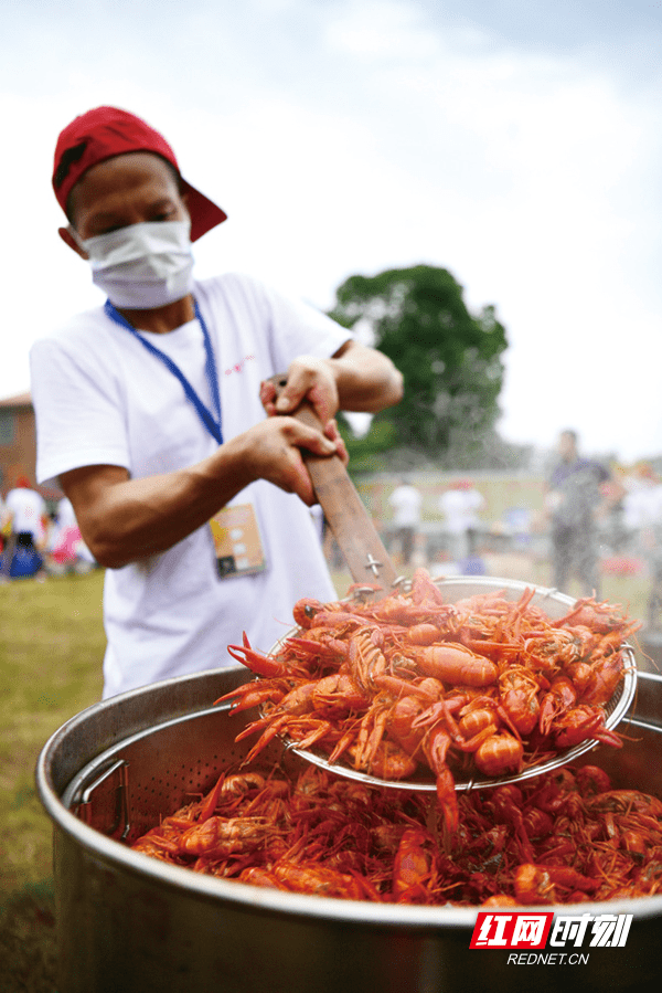 浏阳市龙伏镇首届小龙虾节"美味"开幕