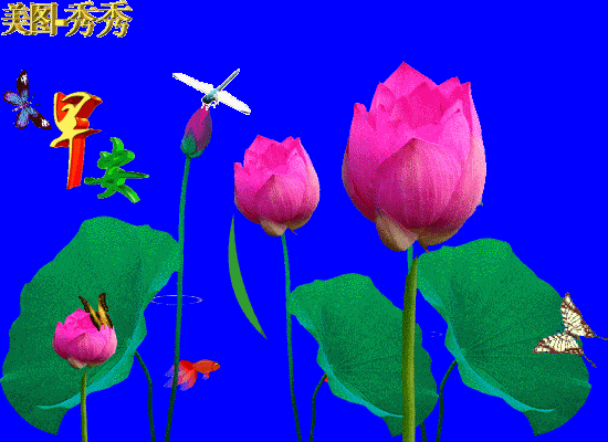 亲爱的朋友,初夏来临,气温升温,清凉防暑,勤做锻炼,健康身体,美满相伴