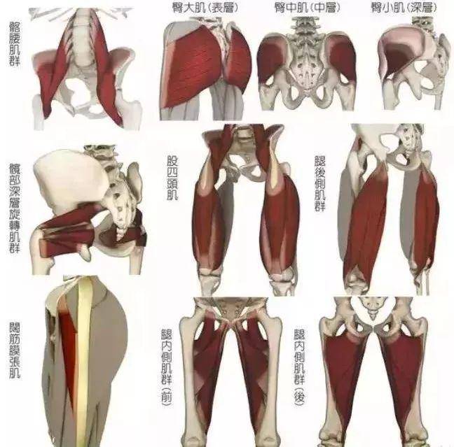 瑜伽开肩开髋辣么久肩髋关节到底怎样才算打开