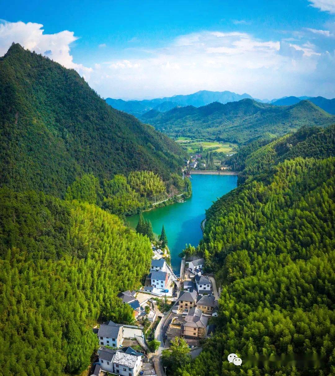 夏令营2020 | "植物王国"戏剧夏令营,重新认识一株植物,用戏剧的形式