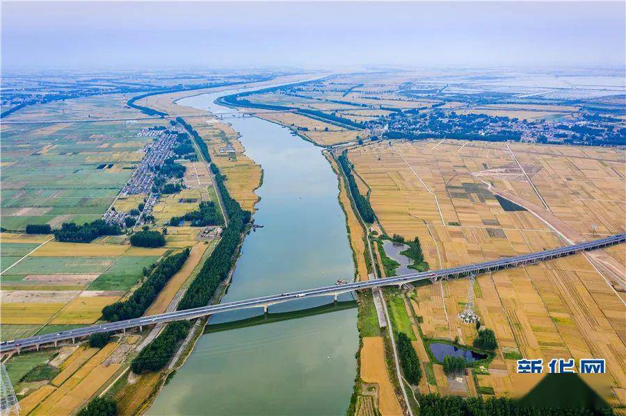 新华网航拍淮河岸上风吹麦浪