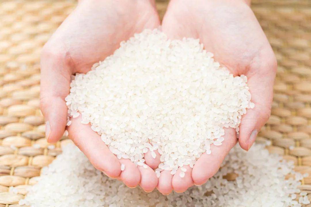 据农业农村部稻米检测中心检测,"袁蒙大米"的食味值达到90分——大米