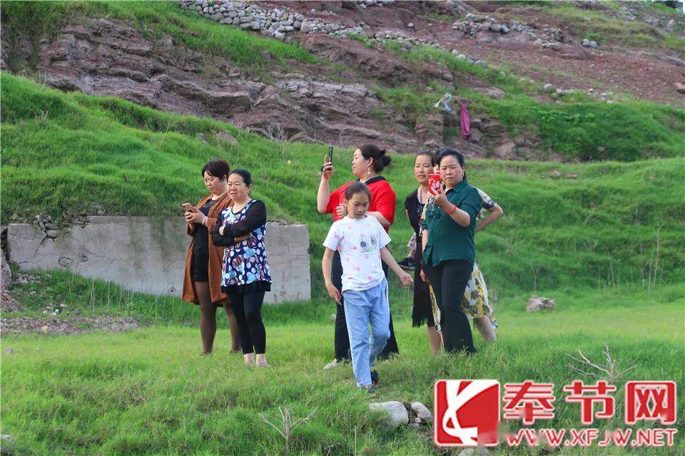 奉节电影天地之间图片