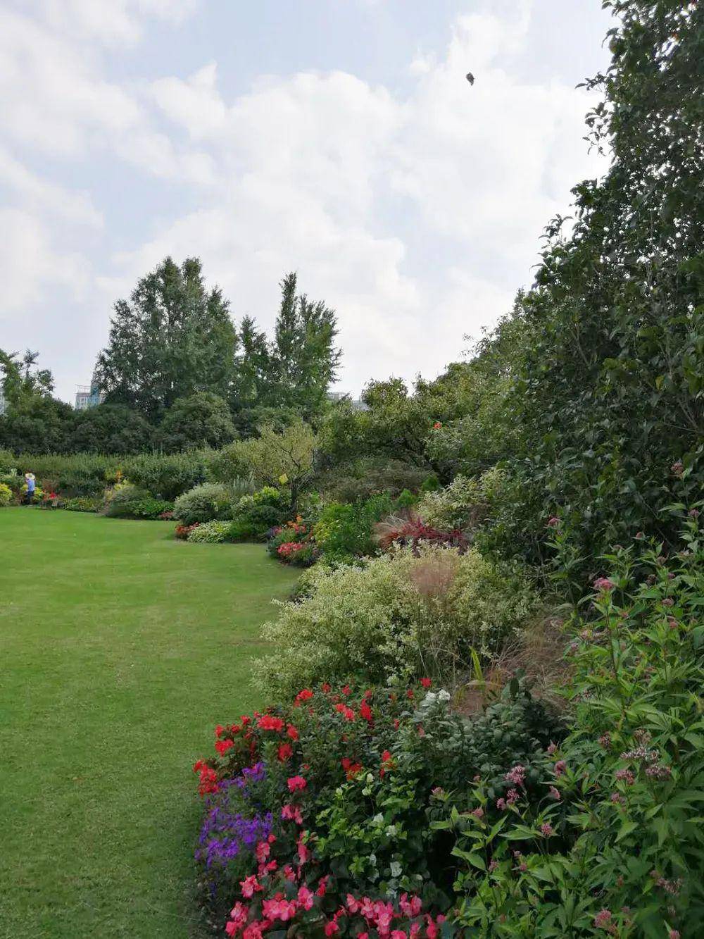 上海世纪公园花境,可以让你赏半天!