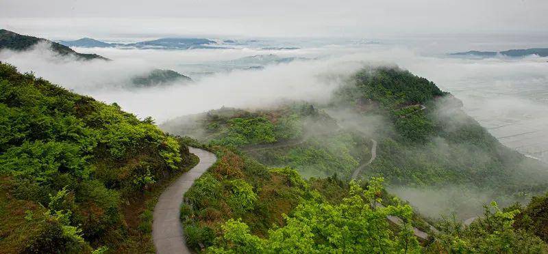 投稿指南瑞安杜鵑花紅聖井山