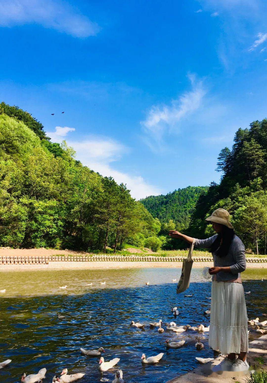 沿着森林小路一直往里走,景色美美,心情舒畅.