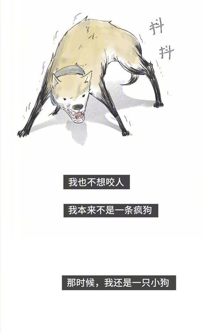 一条疯狗的自述