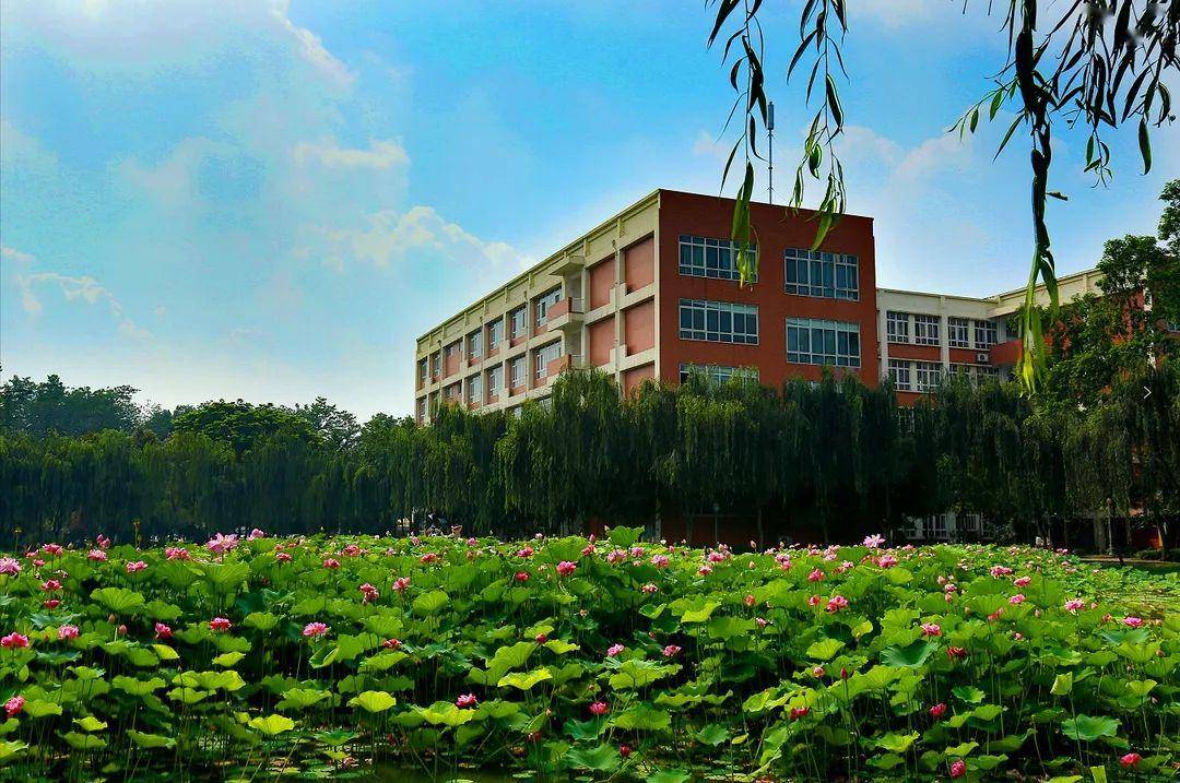 点亮川传有你才叫校园