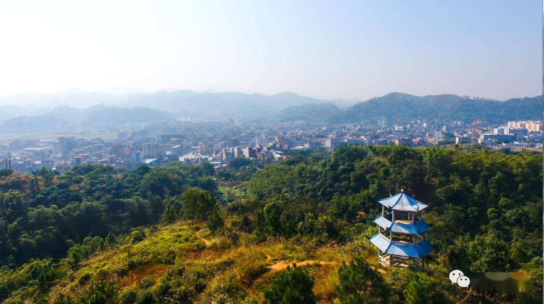 寨圩这些项目火热起建中未来你家门口将迎来大变样