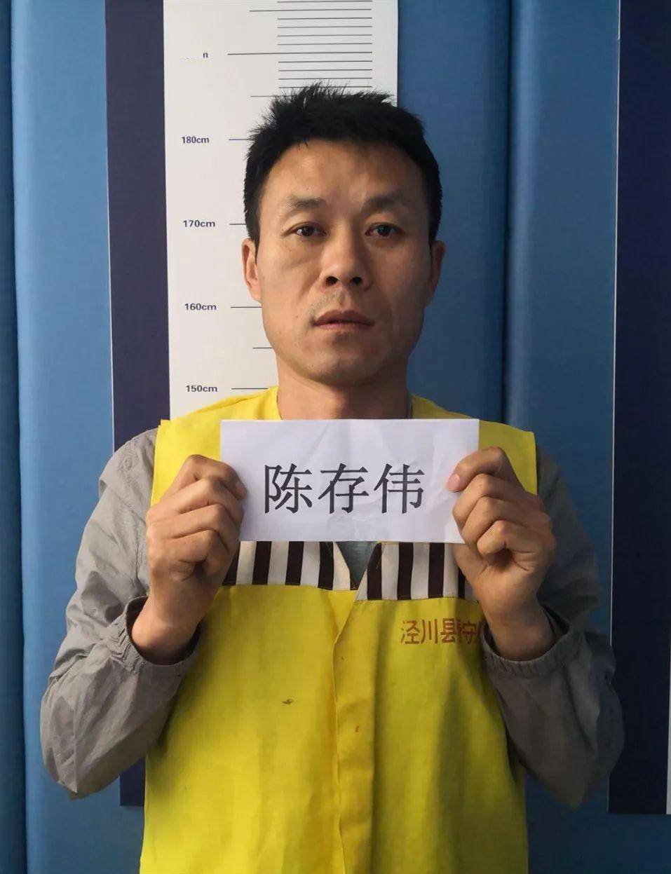 泾川县公安局关于公开征集陈存伟违法犯罪线索的通告