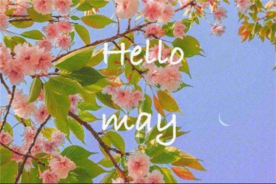 mayiloveyou五月谁的桃花运最旺