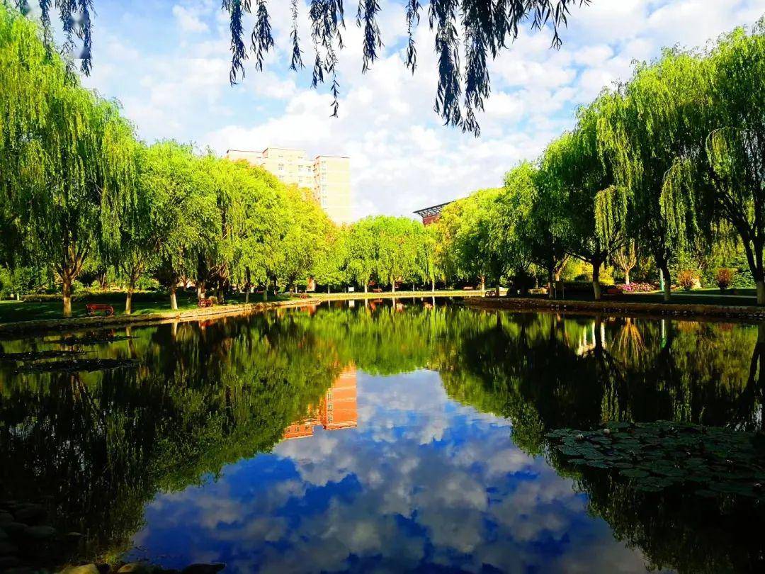 河西學院 | 新雨迎歸人_校園