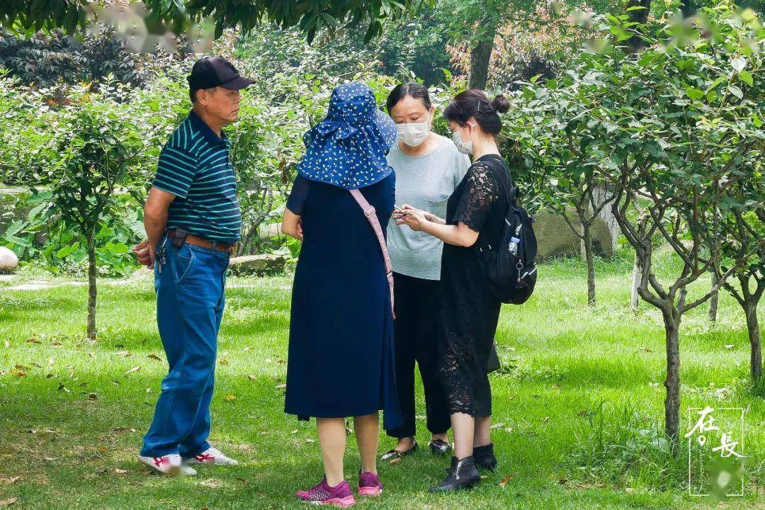 聽長沙烈士公園相親角