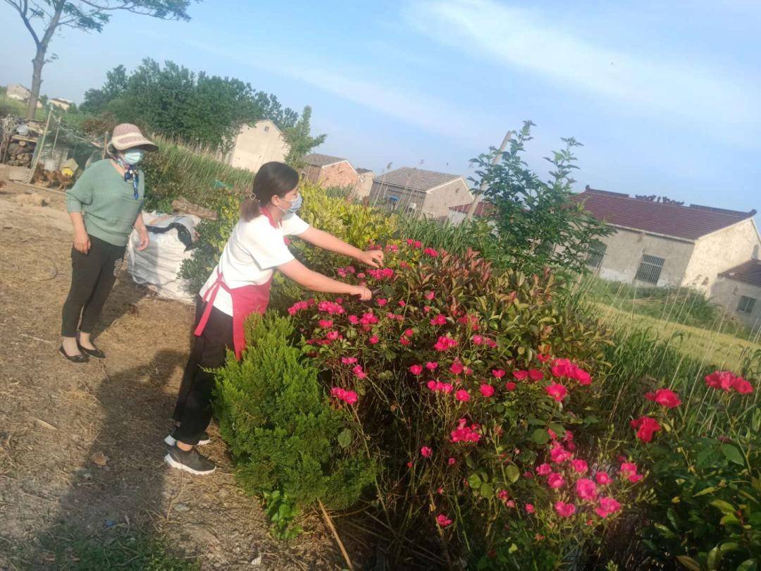 到羅橋鎮,金沙湖,吳灘街道等結對農戶家中幫助清掃庭院衛生;在蘆蒲鎮