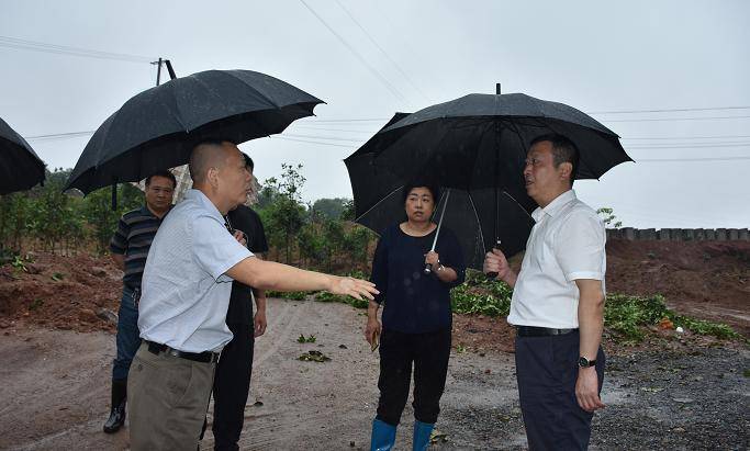 鉛山縣委書記周金明多地看整改按時按質堅決完成各項環保督察整改任務