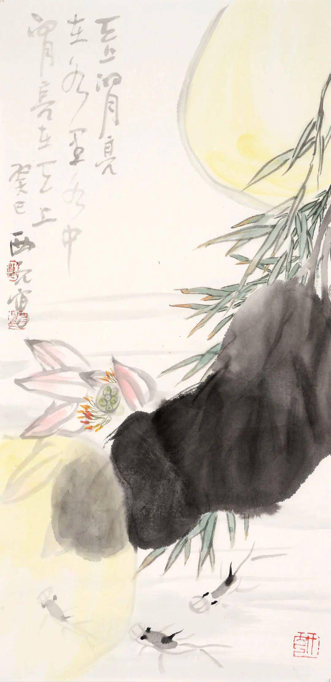 微赏郭西元诗词之水仙子南美洲观瀑震撼