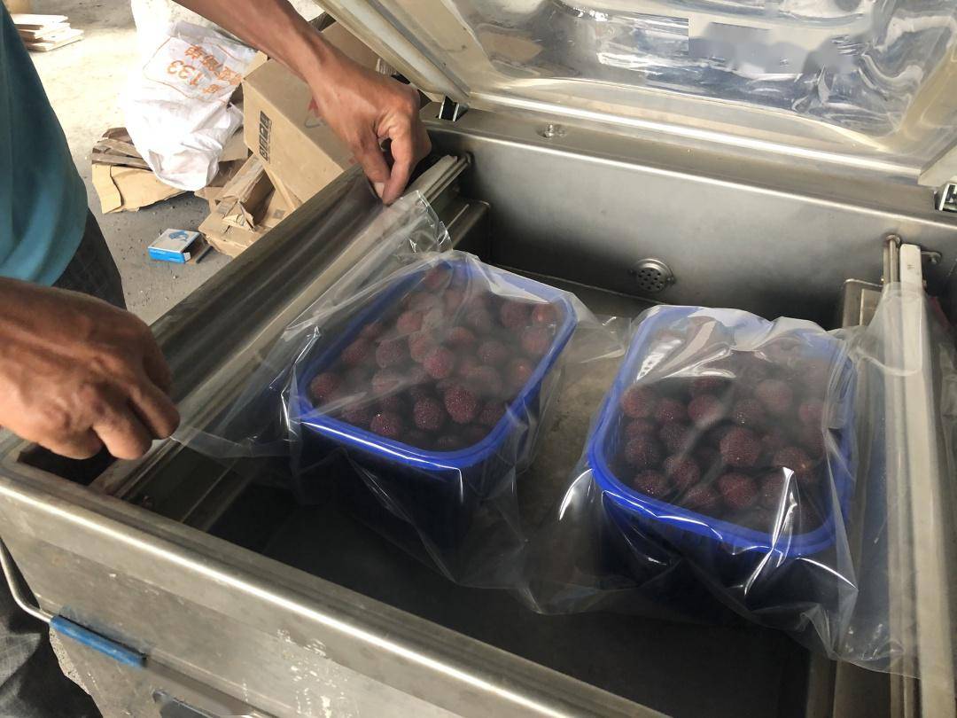 直播预告永新高桥楼杨梅基地直播直销政府搭台百姓唱戏