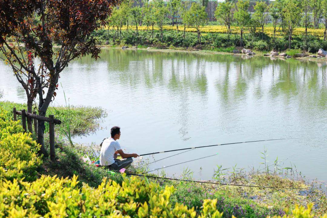 溼地公園這裡能夠打卡地方可不止於此具有濃郁西方特色的弗萊德小鎮也