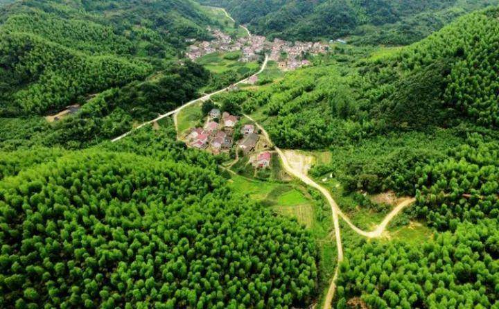 不仅是青山间的最美风景1997年,宁国市被授予"中国元竹之乡"称号,2006