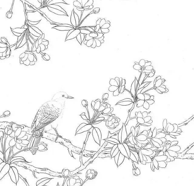 海棠花的画法步骤图解图片