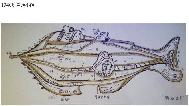 鹦鹉螺号航海图简单图片