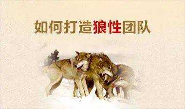 任正非：不懂三高、不抓三快、不盯三好，你拿什么带出狼性团队！_工作