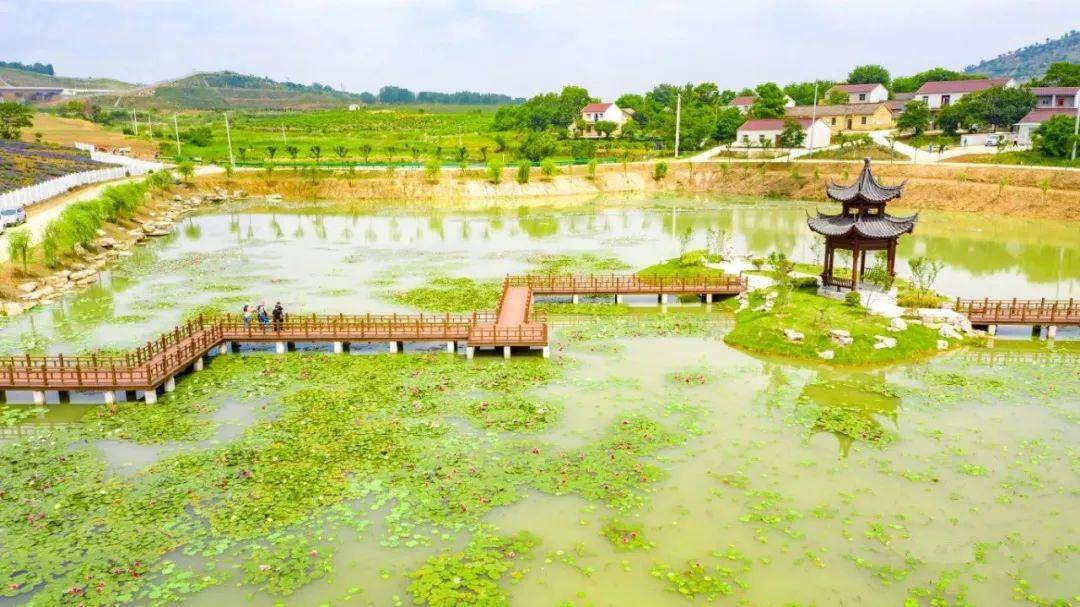 五月初夏300畝薰衣草遇見尖山湖逸趣園醉人風光